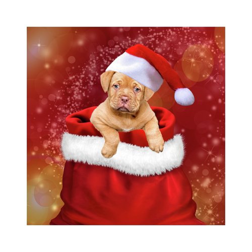 Season's Greetings