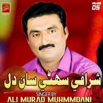 Sharafi Suthi San Dil