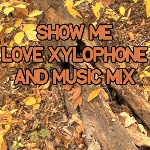 Show Me Love Xylophone HIp Hop Drum And Bass Remix_poster_image