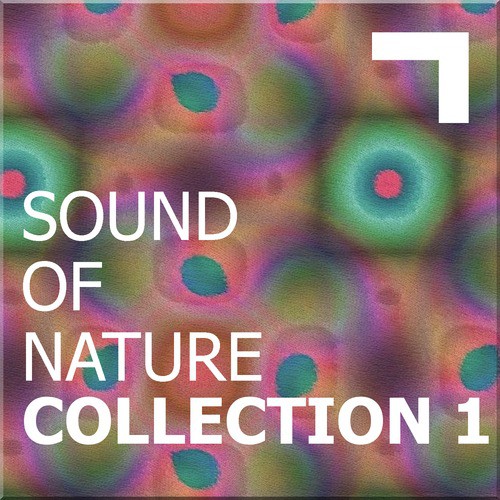Sound of the nature – collection 1
