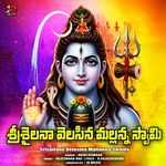Srisailana Velasina Mallanna Swamy artwork