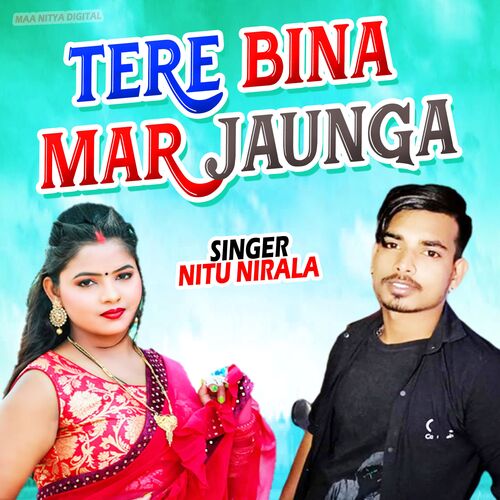 Tere Bina Mar Jaunga (Hindi Romantic Song)