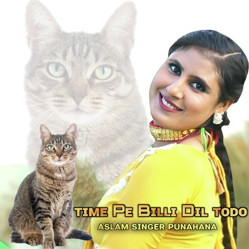 Time Pe Billi Dil Todo