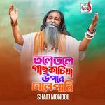 Tole Tole Gache Katiya Upre Dale Pani