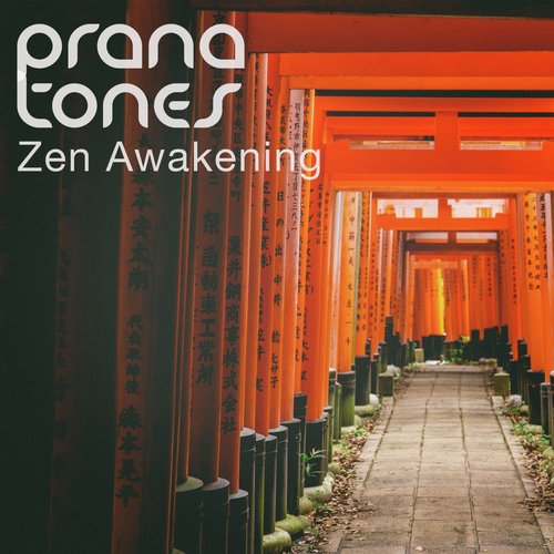 Zen Awakening