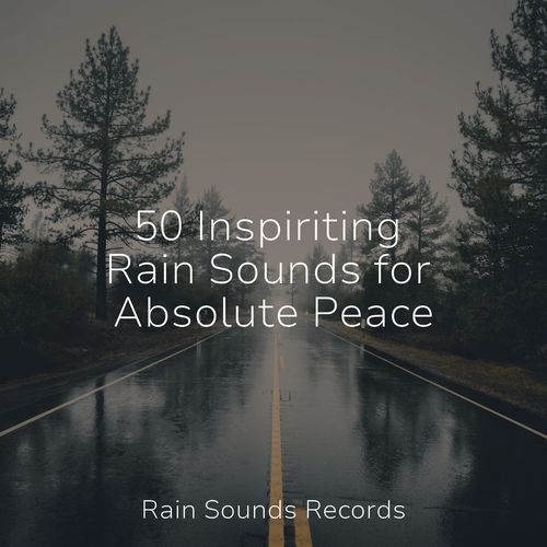 50 Inspiriting Rain Sounds for Absolute Peace