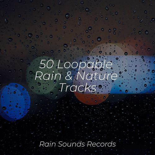 50 Loopable Rain & Nature Tracks_poster_image