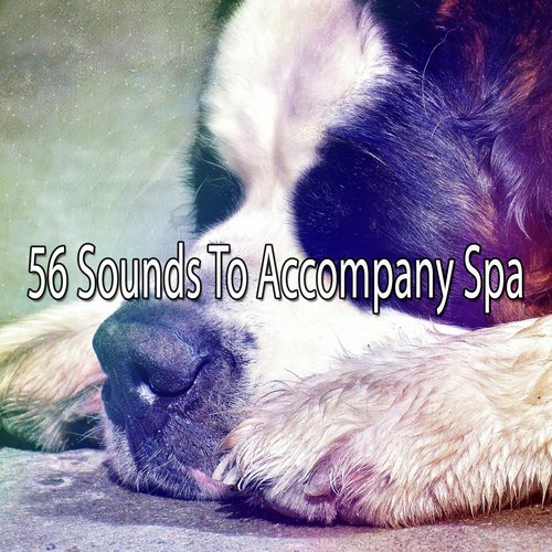 56 Sounds To Accompany Spa