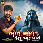 Bhole Bhole Tera Damru Bole