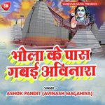 Bhole Ke Pas Gabain Avinash (Kanwar Bhajan)