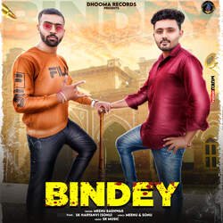 Bindey-PDFZfzkDZFA