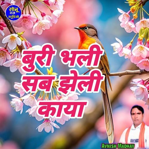 Buri Bhali Sab Jheli Kaya