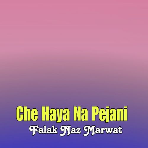 Che Haya Na Pejani