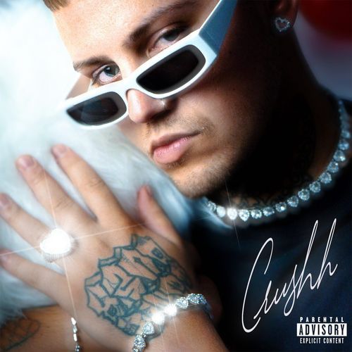 Vyšel z chaosu! cover art