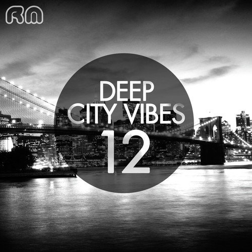 Deep City Vibes, Vol. 12