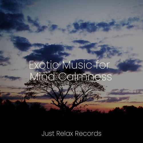 Exotic Music for Mind Calmness