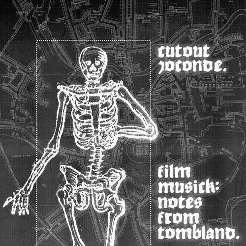 Who Is the Bastard Who Cut Down the Walnut Tree??!