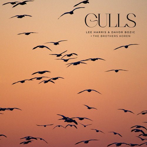 Gulls cover art