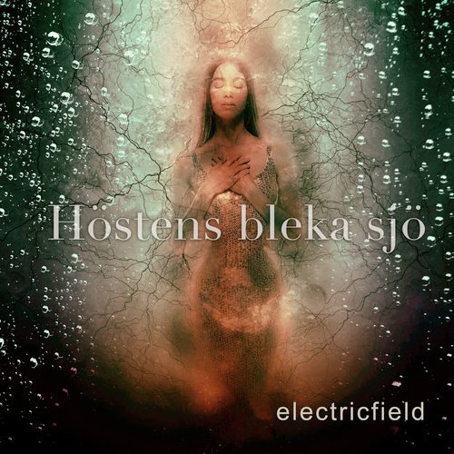 electricfield