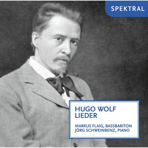 Hugo Wolf: Lieder_poster_image