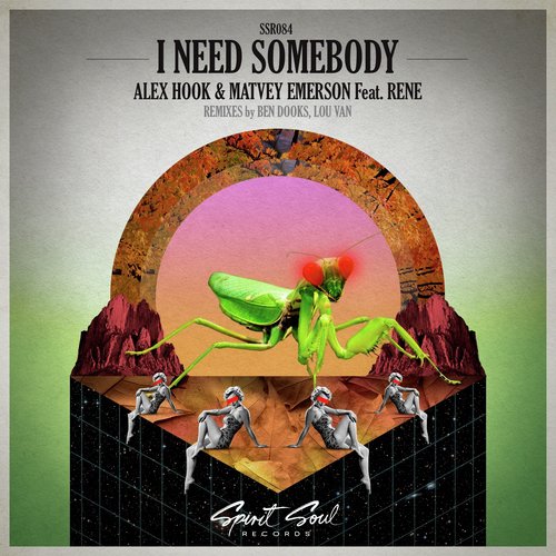 I Need Somebody