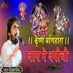 Krishna Manihara - Bag Ne Bagichi