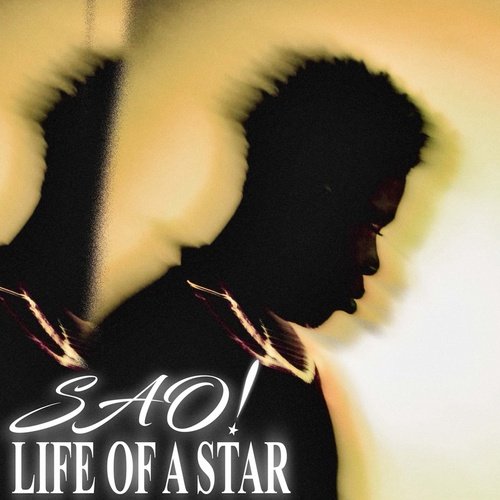 Life of a Star_poster_image