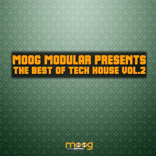 Moog Modular Presents The Best Of Tech House, Vol. 2