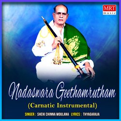 Nadaswara Geethamrutham (Instrumental)