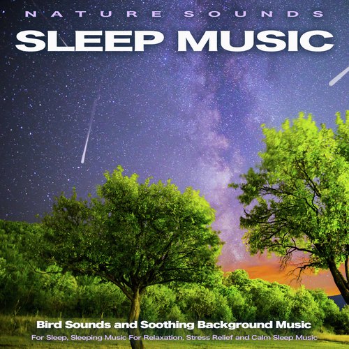 Nature Sounds Sleep Music: Bird Sounds and Soothing Background Music for Sleep, Sleeping Music For Relaxation, Stress Relief and Calm Sleep Music