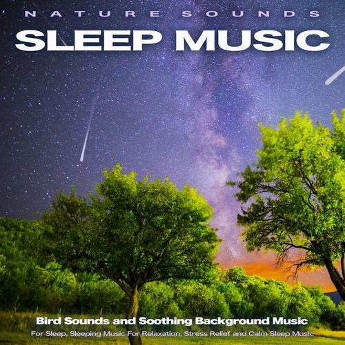 Deep Sleep Music Collective cover art