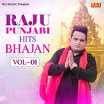 Raju Punjabi Hits Bhajan, Vol. 1