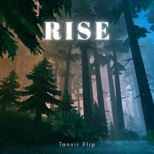 Rise
