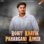 Rohit Khatik Paharganj Ajmer artwork