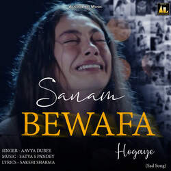 Sanam Bewafa Hogaye-HgMJAhd8BHQ