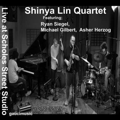 lin/siegel/gilbert/herzog (feat: Ryan Siegel, michael gilbert & asher herzog) (live at scholes street II) cover art