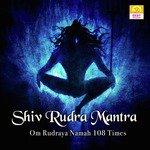Shiv Rudra Mantra (Om Rudraya Namah 108 Times)