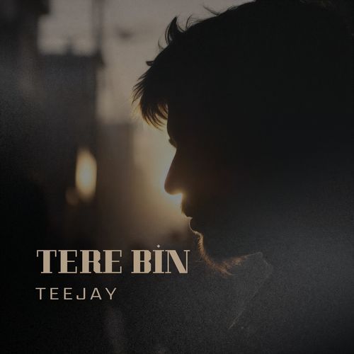 Tere Bin