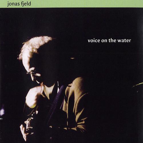 Voice On The Water_poster_image