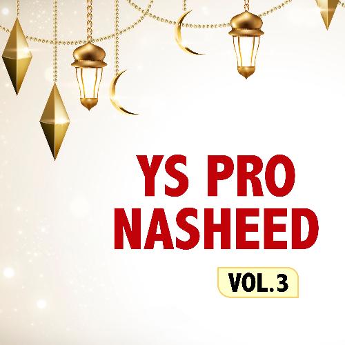 ﻿YS Pro Nasheed, Vol. 3