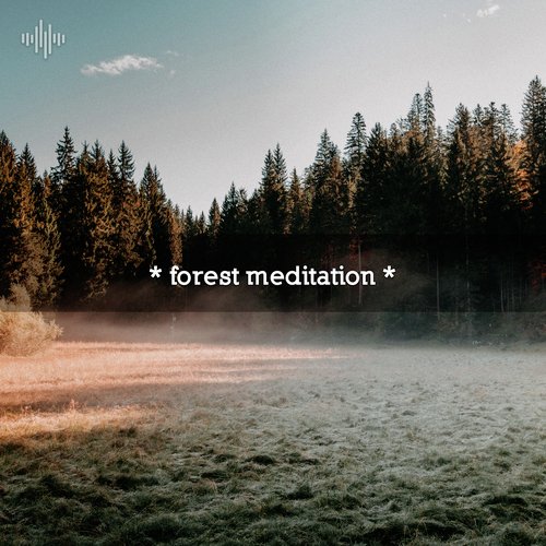 Ambient Nature Sounds cover art