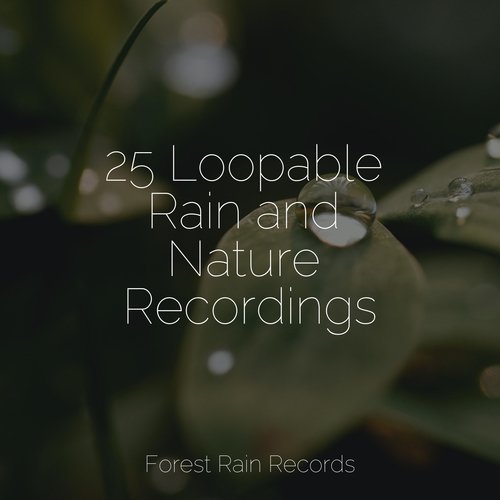 25 Loopable Rain and Nature Recordings_poster_image