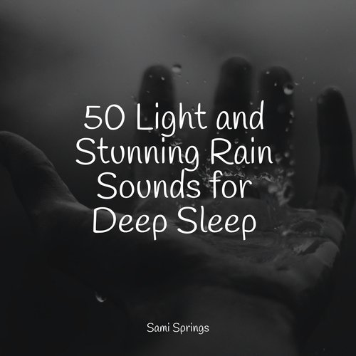 50 Sounds of Rain and Nature for Baby Sleep_poster_image