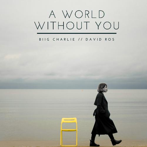 A World Without You_poster_image