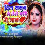 Dil Sasura Me Lele Jaihe Ge Jaan