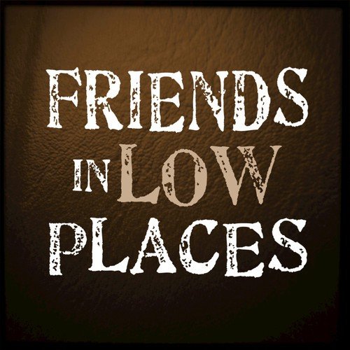 Get 28 Song Lyrics Friends In Low Places