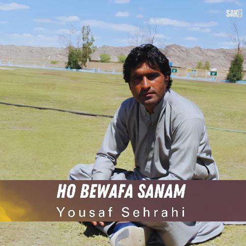 Ho Bewafa Sanam