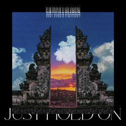 Just Hold On (Sub Focus & Wilkinson)