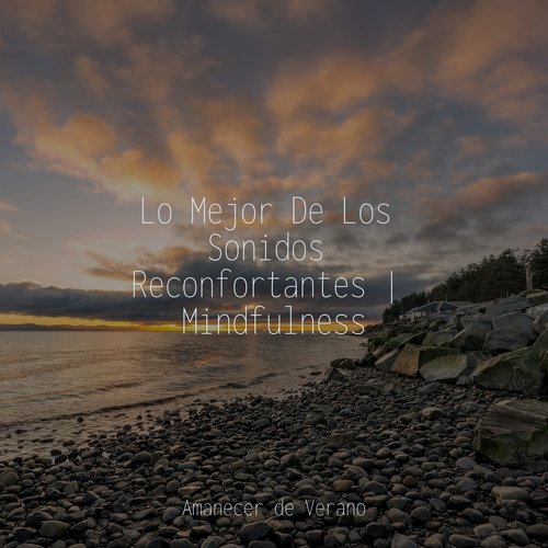 Lo Mejor De Los Sonidos Reconfortantes | Mindfulness