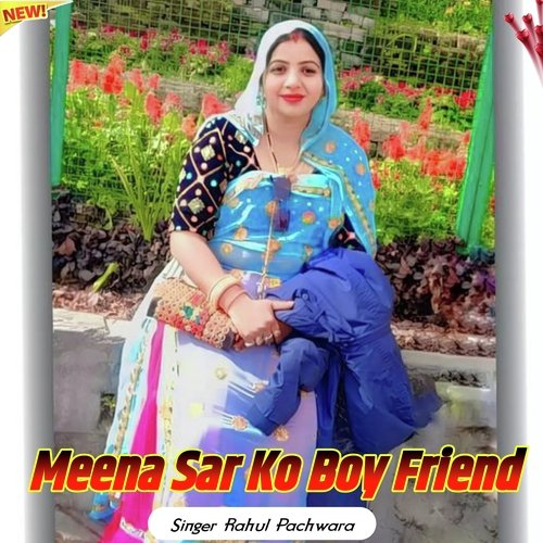 Meena Sar Ko Boy Friend